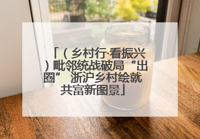 （乡村行·看振兴）毗邻统战破局“出圈” 浙沪乡村绘就共富新图景